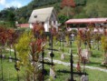 /album/fotogaleria/cementerio-los-colonos-08-jpg/